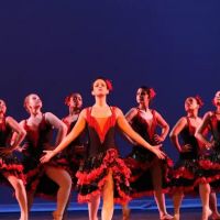 The Brooklyn Dance Center ico