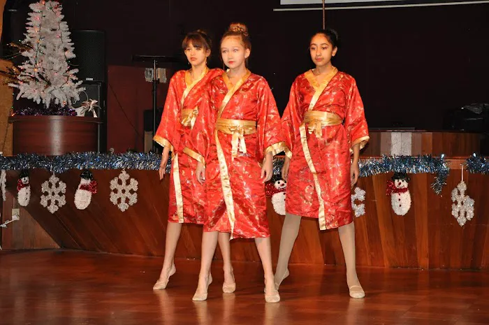 Brooklyn Gymnastics and Dance Picture 5