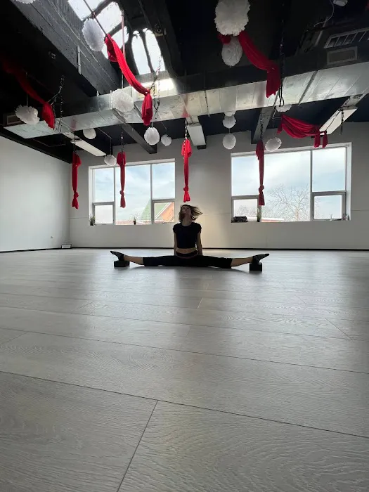 Rising Star Dance and Aerial Lab Picture 7