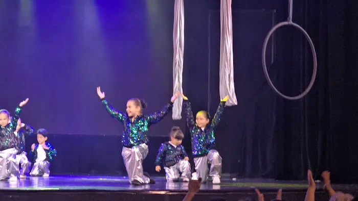 Rising Star Dance and Aerial Lab Picture 8