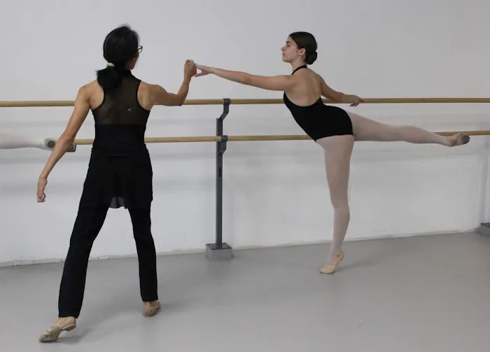 Covenant Ballet Theatre of Brooklyn Picture 2
