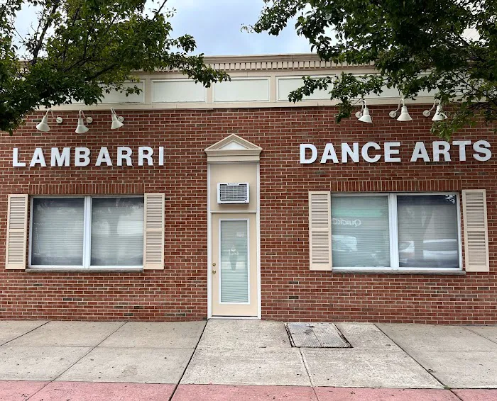 Lambarri Dance Arts 2 Picture 2