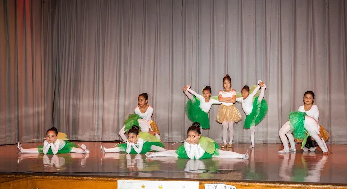 Ballet Factory Picture 6
