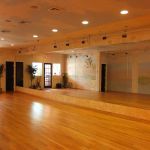 DanceZone USA