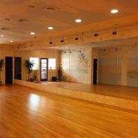 DanceZone USA ico