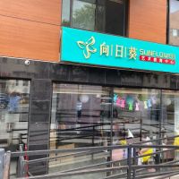 Sunflower Art & Dance Center ico