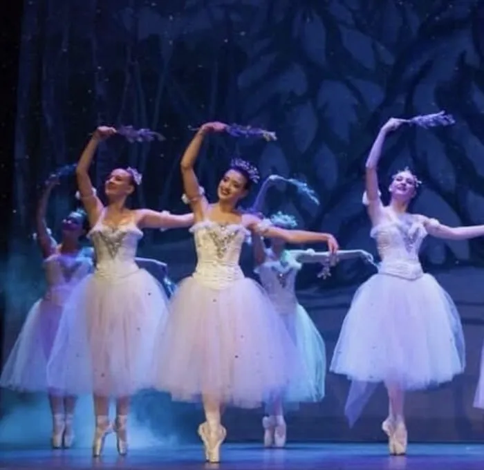 Vicky Simegiatos Performing Arts Center - VSPAC Picture 4