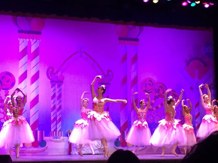 Vicky Simegiatos Performing Arts Center - VSPAC Picture 7
