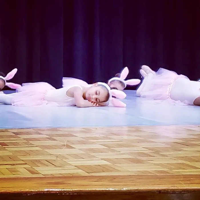 Bay Ridge Ballet Picture 4