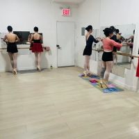 Extra Pirouette ico