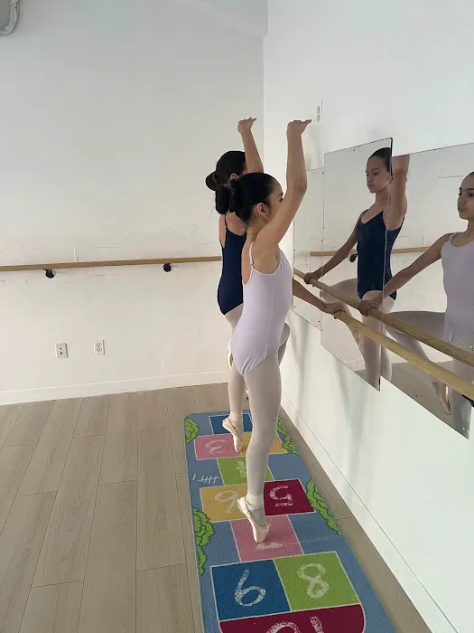 Extra Pirouette Picture 8
