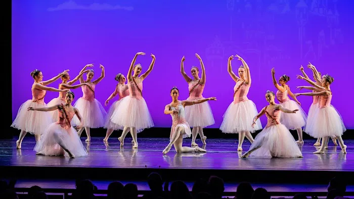 Manhattan Ballet and Movement Center Picture 2