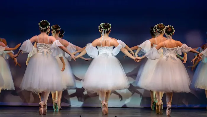 Manhattan Ballet and Movement Center Picture 3