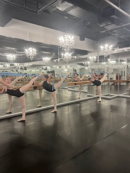 Manhattan Ballet and Movement Center Picture 8