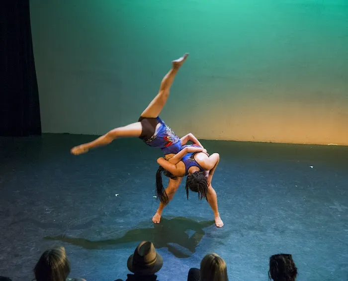 Capoeira Arts Dance Picture 6