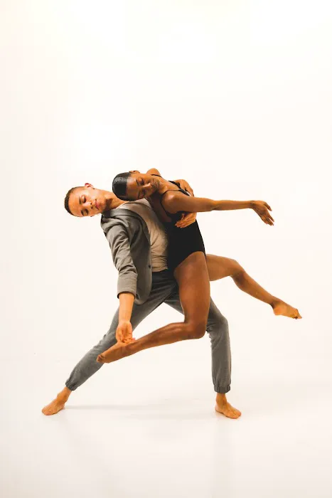 Bridge For Dance Picture 1