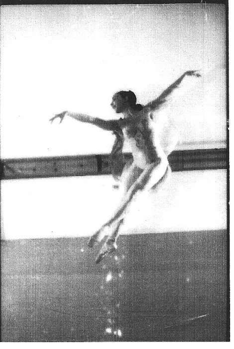 Bridge For Dance Picture 5