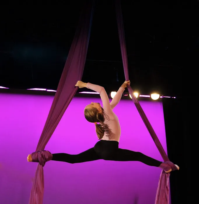 Bridge For Dance Picture 10