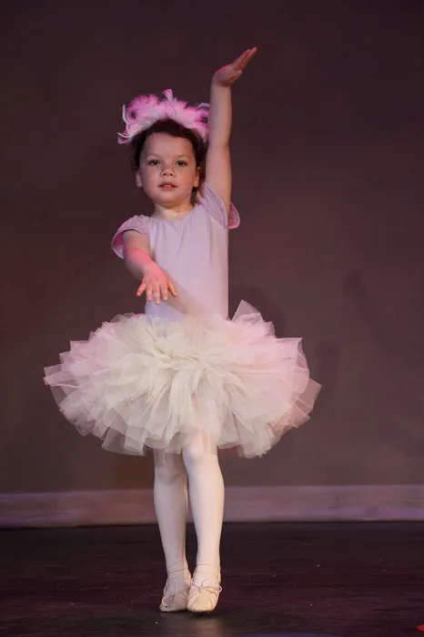 Bridge For Dance Picture 6