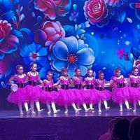 Nika Ballet Studio ico