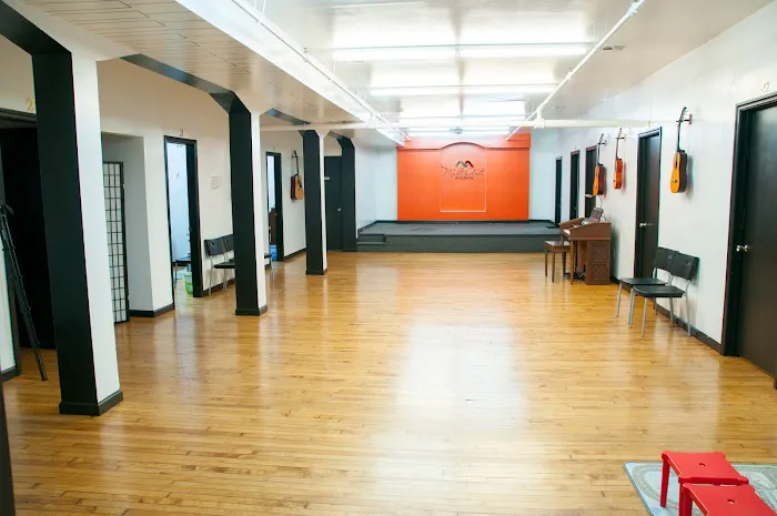Multi Arts Academy Picture 5