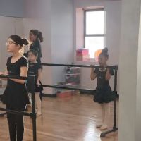 Multi Arts Academy ico