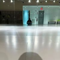 HL Dance & Performing Arts Studio ico