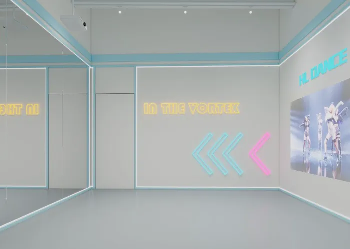 HL Dance & Performing Arts Studio Picture 2