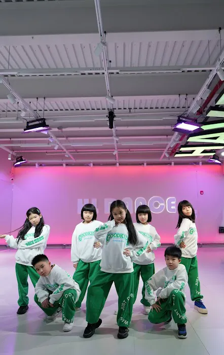HL Dance & Performing Arts Studio Picture 4