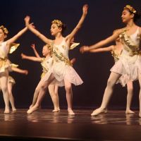Brighton Ballet Theater Co., Inc. ico