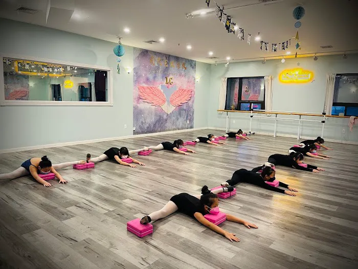 Flushing Dance Club Picture 1