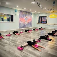 Flushing Dance Club ico