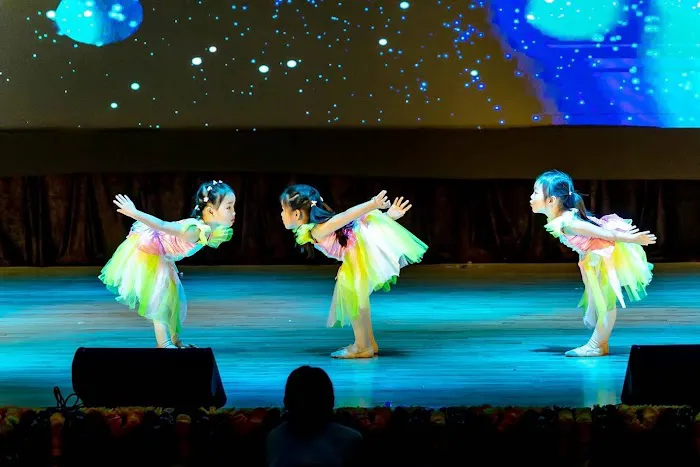 Flushing Dance Club Picture 7