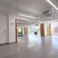 Honey Academy [Flushing | Children's Dance, Art, Music, After-School Program] ico