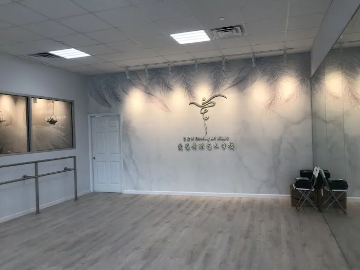 D&M dancing art studio爱艺舞蹈艺术学校 Picture 6