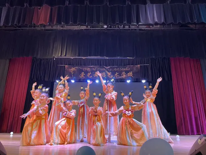 D&M dancing art studio爱艺舞蹈艺术学校 Picture 8