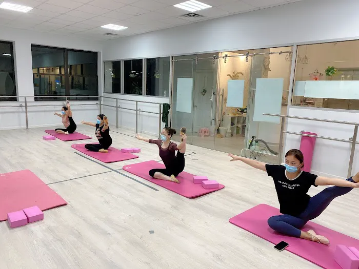 D&M dancing art studio爱艺舞蹈艺术学校 Picture 1