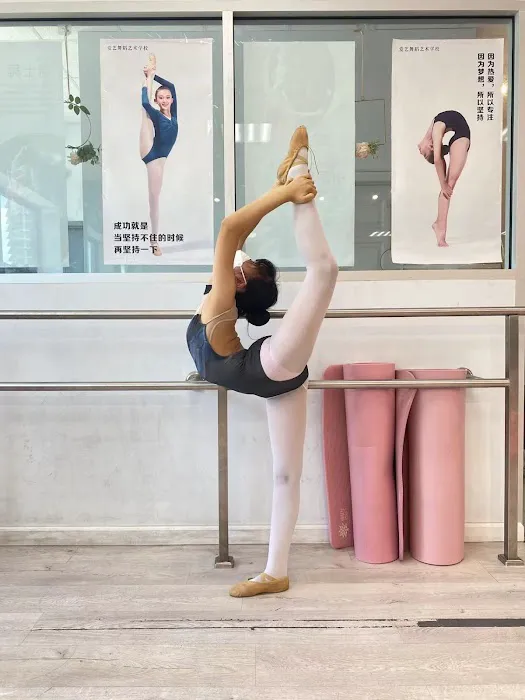 D&M dancing art studio爱艺舞蹈艺术学校 Picture 9