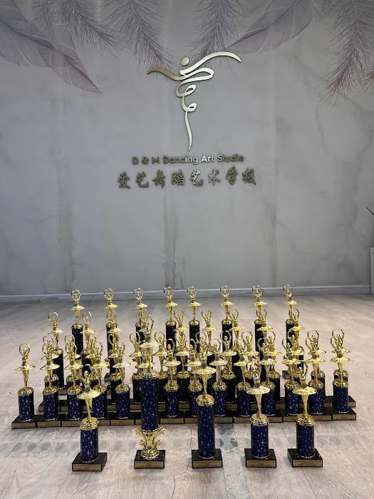D&M dancing art studio爱艺舞蹈艺术学校 Picture 10