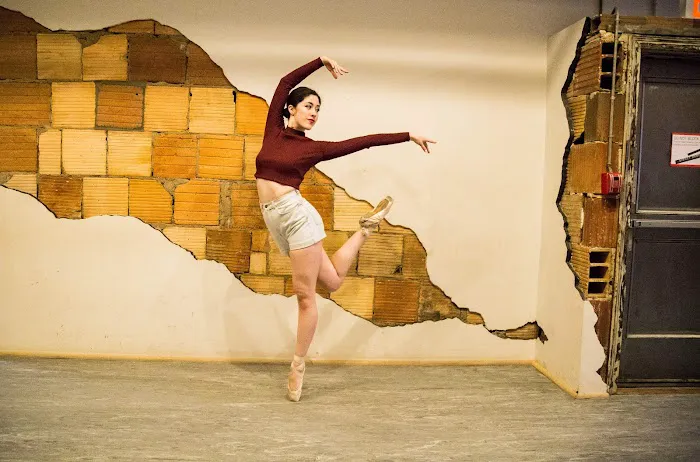 The Dance Project Picture 8