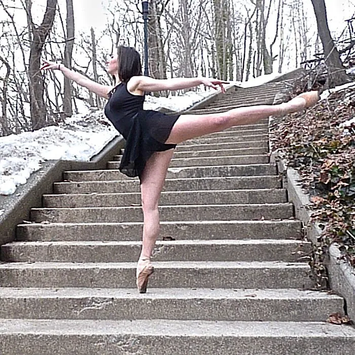 The Dance Project Picture 6