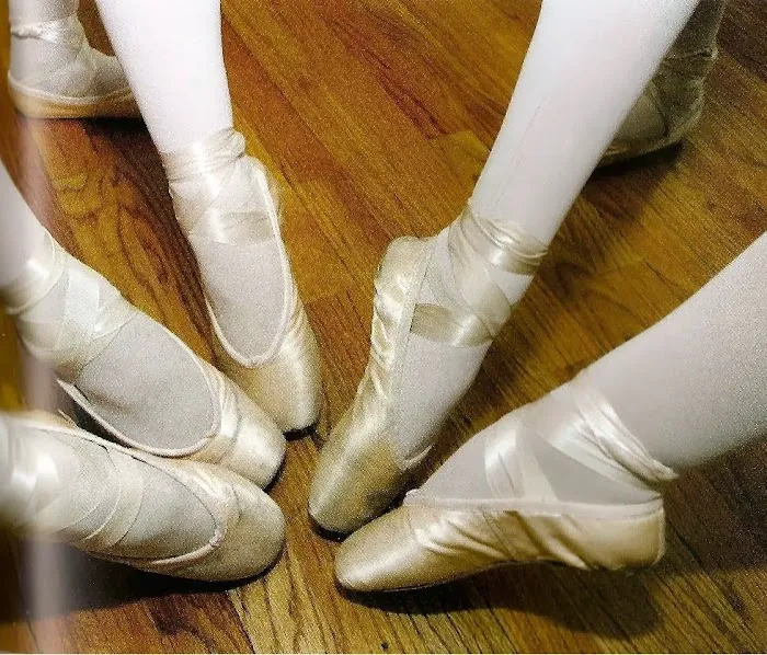 The Dance Project Picture 7