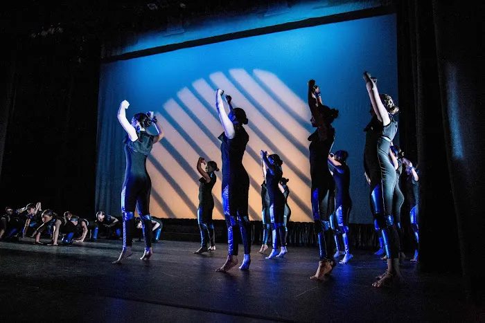 The Dance Project Picture 5
