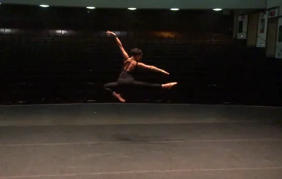 The Dance Project Picture 3