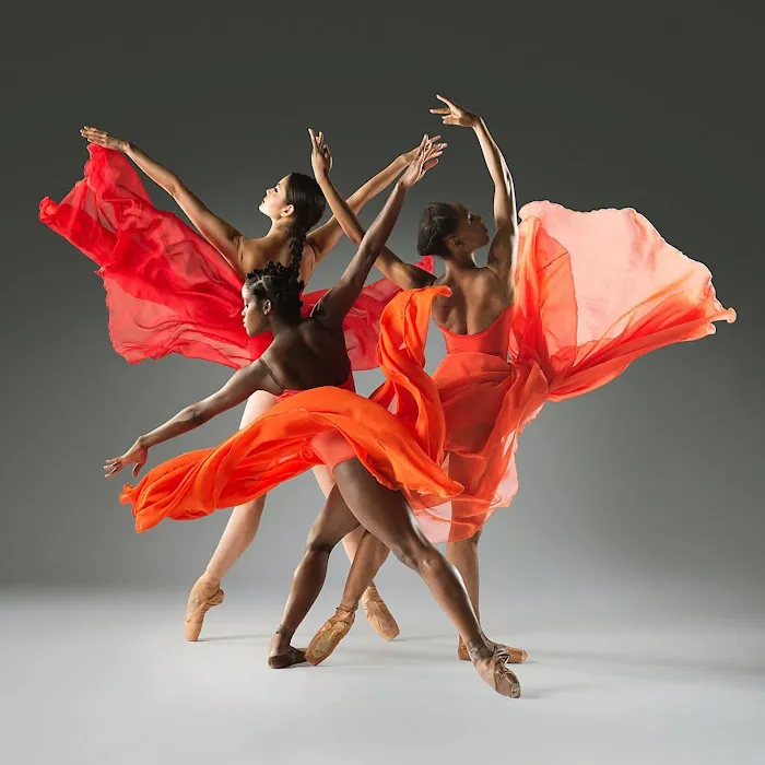Dance Theatre of Harlem Picture 5