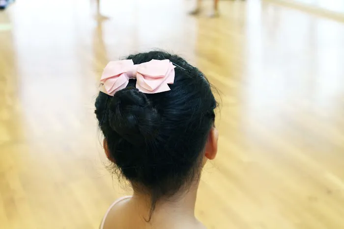 Royal Dance Studio Picture 2