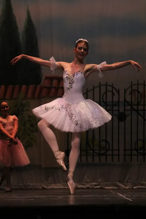 Farber Ballet, Inc. Picture 4
