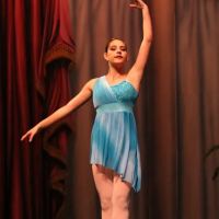 Farber Ballet, Inc. ico
