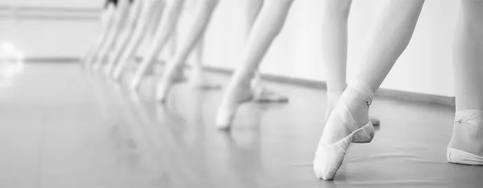 Farber Ballet, Inc. Picture 6