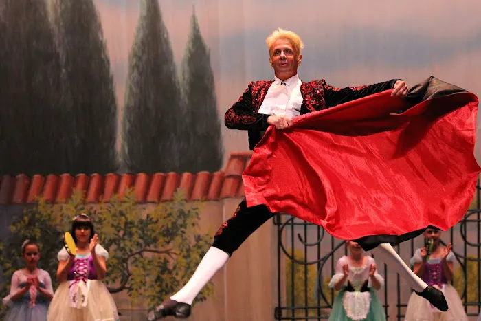 Farber Ballet, Inc. Picture 5